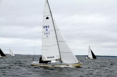 Johan Fellbom med SWE 6, vann Saltsjöbadsregattan 2014