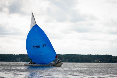 SWE 49-spinn